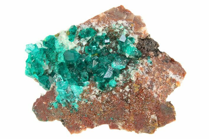 Gemmy Dioptase Crystal Cluster on Quartz - Republic of the Congo #312417